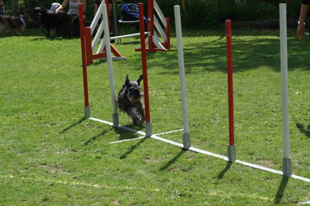 agility 2011-07-24